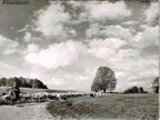 Bärenhöhle-Karlshöhle