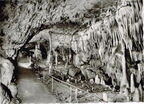 Bärenhöhle-Karlshöhle
