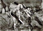 Bärenhöhle-Karlshöhle