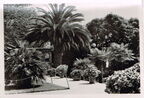 Insel Mainau