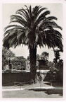 Insel Mainau