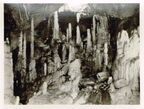 Baumannshöhle