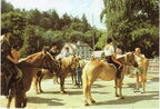 Grüße aus Wernigerode