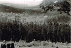 Osterzgebirge