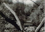 Osterzgebirge