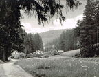 Luftkurort Friedrichroda (Thüringen)