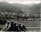 Luftkurort Friedrichroda (Thüringen)