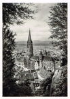 Freiburg im Breisgau