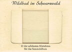 Wildbad im Schwarzwald 