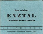 Enz