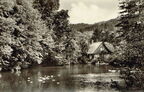 Historisches Foto: Wernigerode