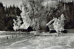Historisches Foto: Wintersportplatz Schierke, Harz
