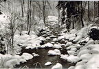 Historisches Foto: Wintersportplatz Schierke, Harz