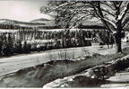 Historisches Foto: Wintersportplatz Schierke, Harz