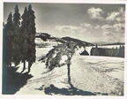 Der Feldberg im Winter