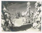 Der Feldberg im Winter