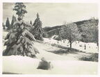 Der Feldberg im Winter