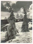 Der Feldberg im Winter
