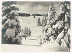Der Feldberg im Winter