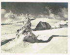 Der Feldberg im Winter