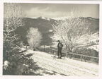 Der Feldberg im Winter