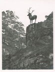 Höllental-Schwarzwald