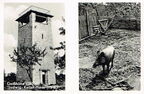 Historisches Foto: Jugendherberge Krausenbach (Spessart)