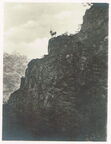 Höllental im Schwarzwald