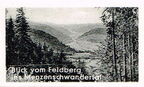 Feldberg im Schwarzwald 1500m Ü. M.