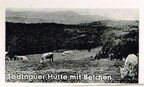 Feldberg im Schwarzwald 1500m Ü. M.