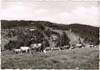 Feldberg (Schwarzwald) 