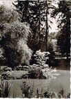 Thermalkurort Badenweiler südl. Schwarzwald 