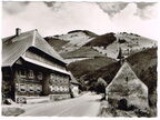 Höllental-Hinterzarten-Titisee 