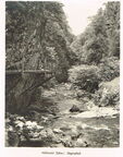 Das Höllental