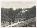 Der Schwarzwald-Höhenweg Feldberg-Belchen-Hochblauen 