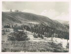 Der Schwarzwald-Höhenweg Feldberg-Belchen-Hochblauen 
