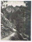 Der Schwarzwald-Höhenweg Feldberg-Belchen-Hochblauen 