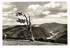 Feldberg im Schwarzwald 
