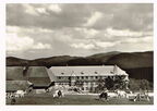 Feldberg im Schwarzwald 